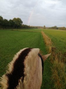 Sidder på en hest og ser en regnbue